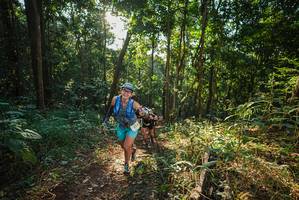 BIB: 
                            <button type="button" onclick="openModal(22543224)" class="btn btn-primary btn-sm float-right btn-popup" data-toggle="modal" data-target=".modal-high-quality">
                        <i class="fas fa-shopping-cart"></i> Add to Cart
                    </button>
                                            <button type="button" onclick="isThisMe(22543224, true)" class="btn btn-success btn-sm float-right btn-popup btn-isme hidden" data-toggle="tooltip" data-placement="bottom" title="นี่คือรูปของคุณใช่ไหม คลิกที่นี่เพื่อเอาเข้าอัลบั้ม">
                        <i class="fas fa-plus"></i> Add to album
                    </button>
                    <button type="button" onclick="isThisMe(22543224, false)" class="btn btn-warning btn-sm float-right btn-popup btn-isnotme hidden">
                        <i class="fas fa-ban"></i> Remove from album
                    </button>